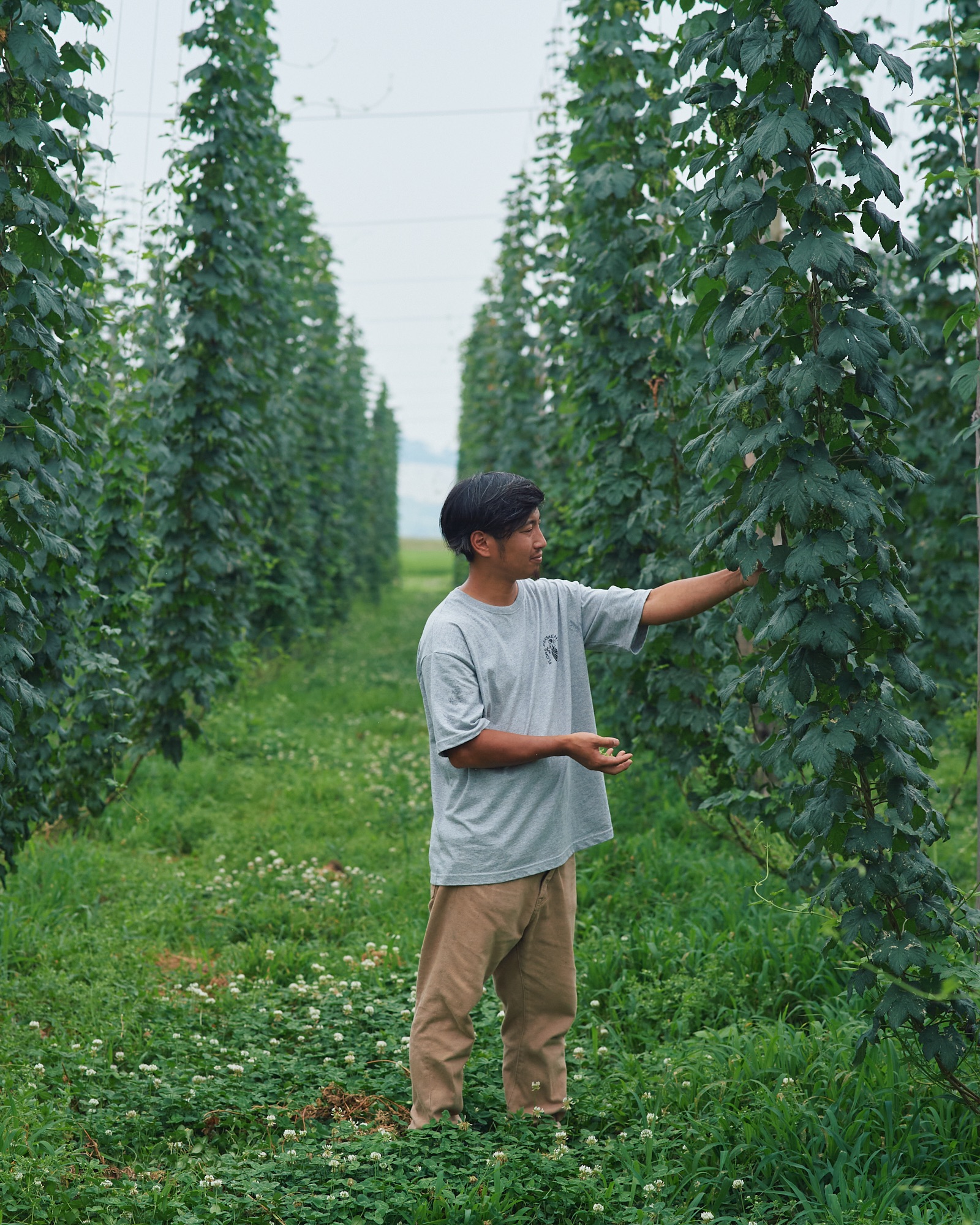 FRESH HOP 2025