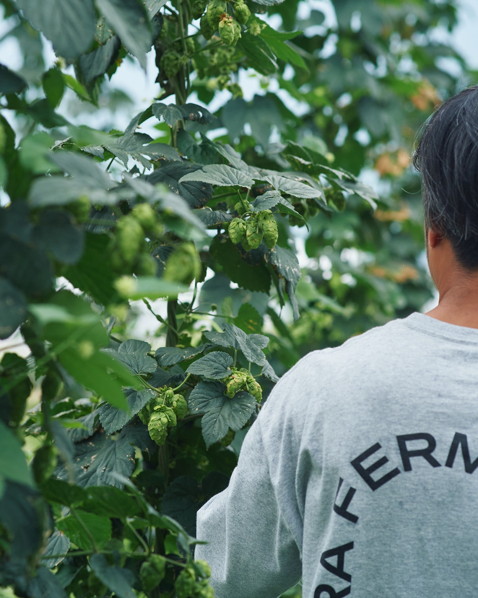 Flora★プロフ必読★即購入OK FRESH HOP 2025